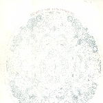 12" Cover